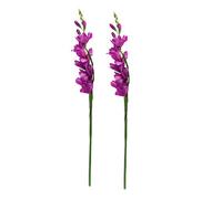Fenteer 2Pack Artificial Gladiolus Flowers for Wedding Decoration ()