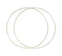 Fenteer 2Pcs Metal Hoop Rings 5mm Thick Circle Gold Color for Wall Hanging Crafts Accessory, Diameter 50cm