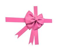 Fenteer Big Bow DIY Making Kit Photo Prop Office Car Huge Present Engagement Ceremony Shower Backdrop Giant Bow Wall Decoration, Pink