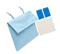 Fenteer Cool Ice Pack for Pet Cage Cool Ice Bag Insulated Cooling Pouch Hanging Pouch for Bunny Chinchilla Travel Indoor, Blue with 2 Box