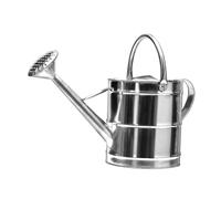 Fenteer Stainless Steel Watering Can Plant Watering Tool with Handle Large Capacity for Indoor Outdoor Garden Flowers Herbs, 12L