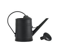 Fenteer Watering Can with Detachable Spray Head Large Capacity Portable Gardening Tools Frosted Convenient Outdoor Decorative Jar, Black 2L