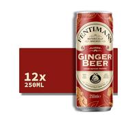 Fentimans Ginger Beer - Botanically Brewed Soft Drink - Exquisitely Crafted & Refreshing Soft Drinks - Gluten-Free and Vegan Friendly Soft Drinks - 12 x 250ml Cans