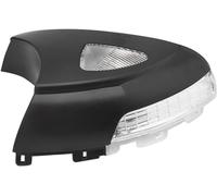 FENVY Wing Mirror Indicator Lamp For VW Tiguan MK1 2008-2018,Auto Mirror Indicator Lamp Flashing Turn Signal Light Indicator,B-Right