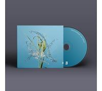 Fergus McCreadie - Stream