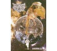 Fermenting Innards - Drowned