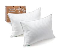 Fern and Willow Pillows for Sleeping - Set of 2 Queen Size Bed Pillow Set w/Luxury Plush Cooling Gel for Stomach, Back & Side Sleepers