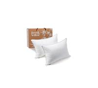 Fern and Willow Pillows for Sleeping - Set of 2 Standard Size Bed Pillow Set w/ Luxury Plush Cooling Gel for Stomach, Back & Side Sleepers