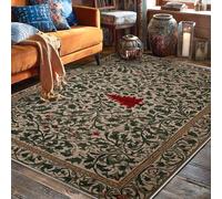Fern Area Rug, Traditional Vintage Leaf Flower Fall Green Non-Slip Backing Edge Binding Home Rectangle Carpet Rugs for Living Room Bedroom Dining Desk Office Decor 5' X 7'