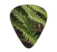 Fern close-up Guitar picks in thin, medium, and thick sizes, 12-piece set, suitable for electric guitar and various instruments