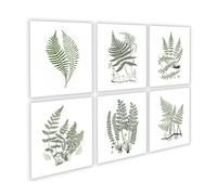 Fern Greenery Art Print set of 6 unframed Sage Green Wall Art Decor