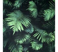 Fern Wall Wallpaper Arthouse Dark Green One Size