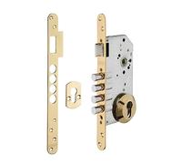 Fernand 00494596 Euro Cylinder Recessed Lock 50 x 85 mm Axis with Stud, Gold-THIRARD