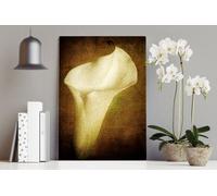 Fernlight Gallery A Life Once Lived - Canvas Print 24 x 36 inch