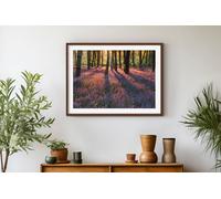 Fernlight Gallery Bluebell Dawn - Acrylic Print 20 x 30 inch