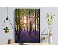 Fernlight Gallery Bluebell Sunrise - Acrylic Print 20 x 30 inch