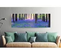 Fernlight Gallery Bluebell Wood
