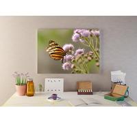 Fernlight Gallery Butterfly Beauty - Canvas Print 24 x 36 inch