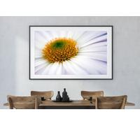 Fernlight Gallery Chrysanthemum Dream - Canvas Print 16 x 24 inch