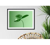 Fernlight Gallery Clover Dew Drop - Framed Print 20 x 16 inch