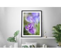 Fernlight Gallery Crocus Dream - Canvas Print 24 x 36 inch