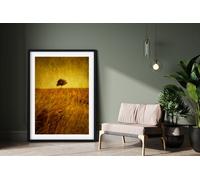 Fernlight Gallery Dawn Solitude - Framed Print 20 x 16 inch