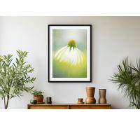 Fernlight Gallery Echinacea Dream - Canvas Print 12 x 16 inch