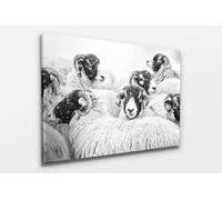 Fernlight Gallery In Winter's Grip - Acrylic Print 20 x 30 inch