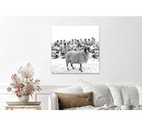 Fernlight Gallery Leader of the Flock - Acrylic Print 24 x 24 inch