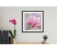 Fernlight Gallery Pink Magnolia - Acrylic Print 20 x 20 inch