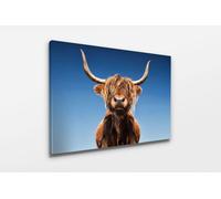 Fernlight Gallery Pride of The Highlands - Acrylic Print 12 x 16 inch