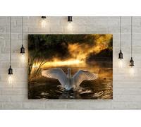 Fernlight Gallery Rising Swan - Framed Print 30 x 20 inch