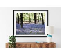 Fernlight Gallery Sea of Bluebells - Framed Print 16 x 12 inch
