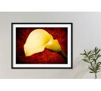 Fernlight Gallery The Beauty of Form - Canvas Print 24 x 36 inch