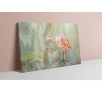 Fernlight Gallery The Gentle Watcher - Framed Print 20 x 16 inch