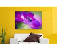 Fernlight Gallery The Magic of Caen - Framed Print 16 x 12 inch