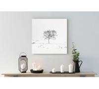 Fernlight Gallery Whiteout - Canvas Print 16 x 16 inch