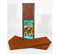 Fernwood Tree Fern Panels - 50x20cm Twin Pack