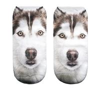 Ferocity Funny Low Ankle Socks Men's Women's Boys Girls 3D Printed Unisex Husky [001]