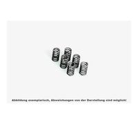 FERODO Clutch spring set FSS0201