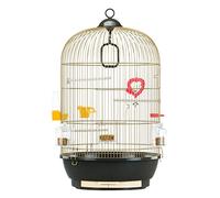 Ferplast Bird Cage DIVA Cage for Birds, Canaries, Budgies, Finches, Loverbirds, Metal, Accessories Included Rotating Feeders Perches, 40 x 40 x h 65 cm.