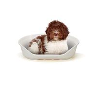 Ferplast Cat Bed, Plastic Dog Bed Medium, Ventilation Holes and Non-Slip Rubber Feet for Added Stability 82 x 59,5 x h. 25 cm. White