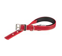 FERPLAST Collar Daytona Deluxe C20/43 Rojo CO