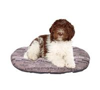 Ferplast Relax Cities 78x50 Cm Dog Bed Brown