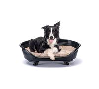 Ferplast Dog Bed & Cat Bed with Cotton Cushion, Raised Dog Bed, Plastic Dog Bed Medium, Dog Bed Washable, Dog Basket, Breathable & Antislip, THRONE 82 x 59,5 x h 29,5 cm, Black