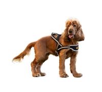 Ferplast Dog Harness ERGOCOMFORT NORDIC, Swedish Harness for Dogs, Comfortable Padded, Reflective, Closure with Micro-regulation, Quick Release, SMALL