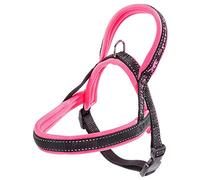 Ferplast Dog Harness SPORT DOG, Small Dog Harness, Norvegian Type Harness for Dogs, Perfect Fitting, Soft padding, Reflective Nylon, Pet Name Tag, Fuchsia