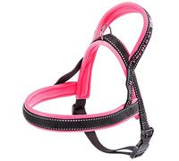 Ferplast Dog Harness SPORT DOG, Small Dog Harness, Norvegian Type Harness for Dogs, Perfect Fitting, Soft padding, Reflective Nylon, Pet Name Tag, Fuchsia