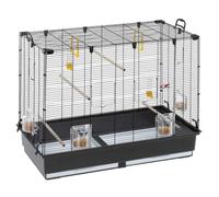 Ferplast Large Cage for Canaries, Parakeet Cage Exotic Bird Cage PIANO 6, with Revolving Feeders and Accessories, 87 x 46.5 xh 70 cm