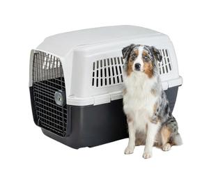 Ferplast Large Dog Carrier Airline Approved IATA, Max 30 Kg | Built to withstand large dog strength, side ventilation slot , separable structure for cleaning - 82 x 57 x 60 cm